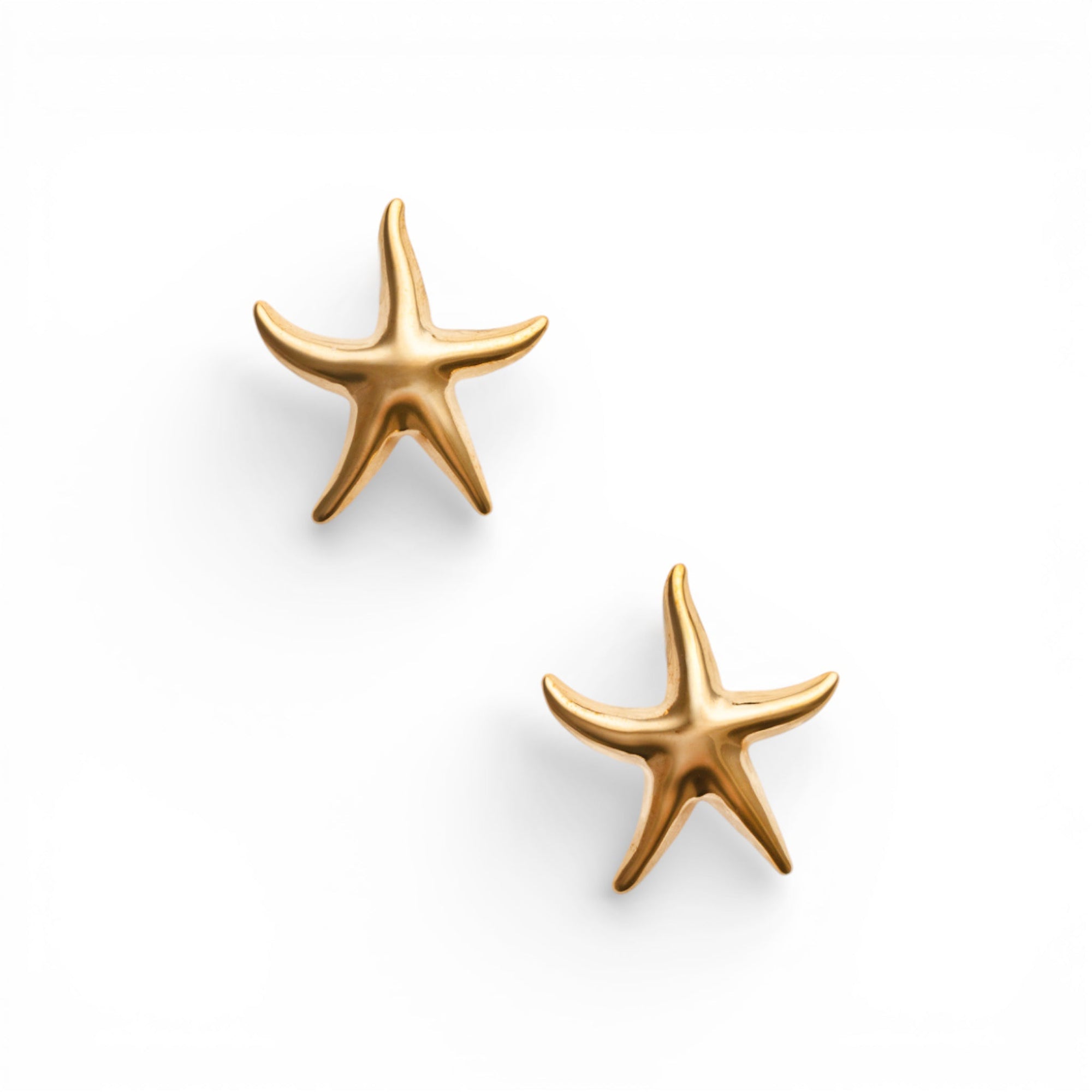 Orecchini con design a stella marina in acciaio - Mya Accessories